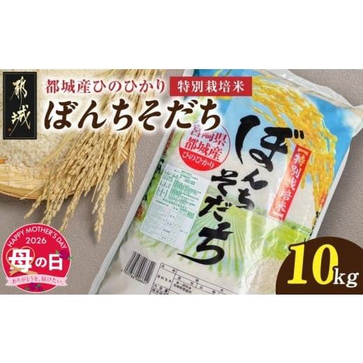 ふるさと納税 米 ヒノヒカリ 宮崎県 都城市 母の日 都城産ひのひかり特別栽培米「ぼんちそだち」10kg(5kg×2袋) 5月7日〜10日お届け _21-N5-001-10kg-MG_(都…