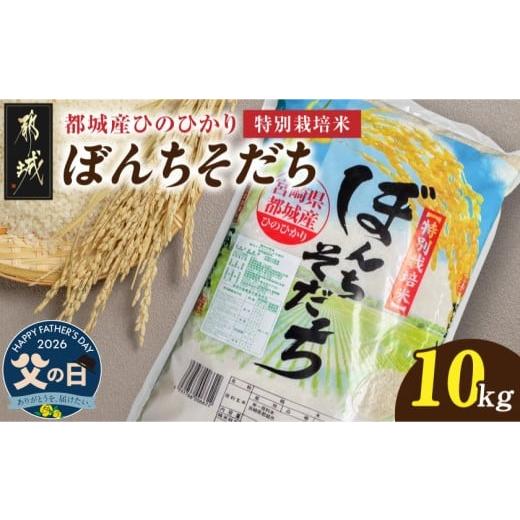 ふるさと納税 米 ヒノヒカリ 宮崎県 都城市 父の日 都城産ひのひかり特別栽培米「ぼんちそだち」10kg(5kg×2袋) 6月18日〜21日お届け _21-N5-001-10kg-FG_(都…