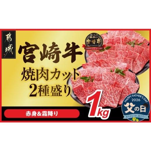 ふるさと納税 牛肉 焼肉・バーベキュー 宮崎県 都城市 父の日 宮崎牛焼肉2種セット500g×2パック 6月18日〜21日お届け _AC-N2-002-1kg-FG_(都城市) 1kg 赤身 …