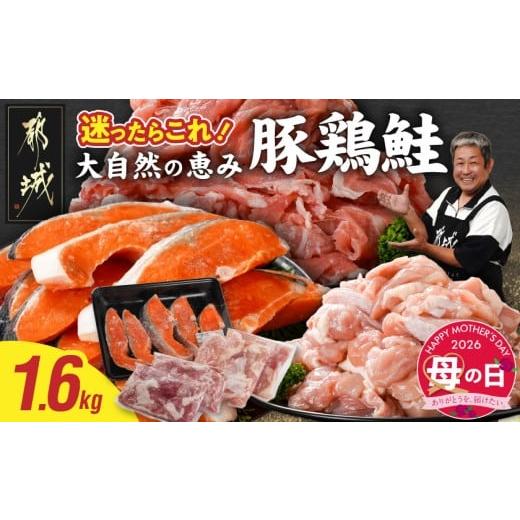 ふるさと納税 魚貝類 鮭 宮崎県 都城市 母の日 肉×魚 小分け3種セット(豚切り落とし250g×2P・鶏モモカット済300g×2P・銀鮭500g) 5月7日〜10日お届け _13-8…