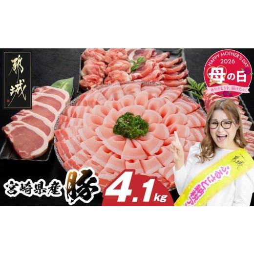 ふるさと納税 豚肉 セット 宮崎県 都城市 母の日 宮崎県産豚わくわく4.1kgセット(真空) 5月7日〜10日お届け _AC-8403-s-MG_(都城市) 豚肉 豚肉セット 宮崎県…