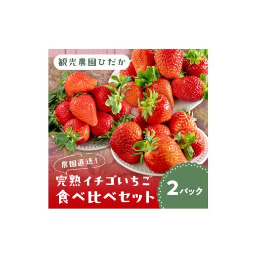 ふるさと納税 いちご 和歌山県 御坊市 農園直送 完熟イチゴ食べ比べセット 2種 2パック 配送不可地域:北海道・沖縄・離島