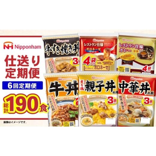 ふるさと納税 惣菜・レトルト 長崎県 諫早市 通常配送 6回定期便 仕送り定期便(ボリュームコース) 6種 190食分 AHAL028 通常配送