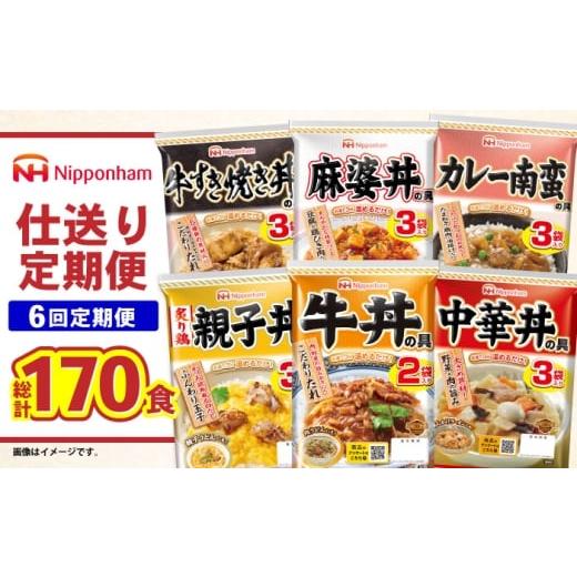 ふるさと納税 惣菜・レトルト 長崎県 諫早市 通常配送 6回定期便 仕送り定期便(丼コース) 6種 170食分 AHAL029 通常配送