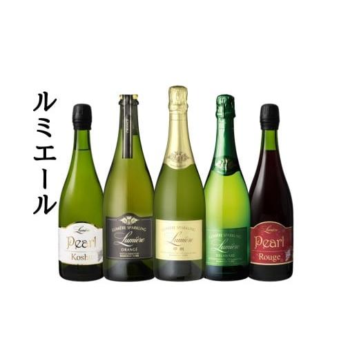 ふるさと納税 お酒 山梨県 笛吹市 ルミエール スパークリングワイン 5本セット 167-191