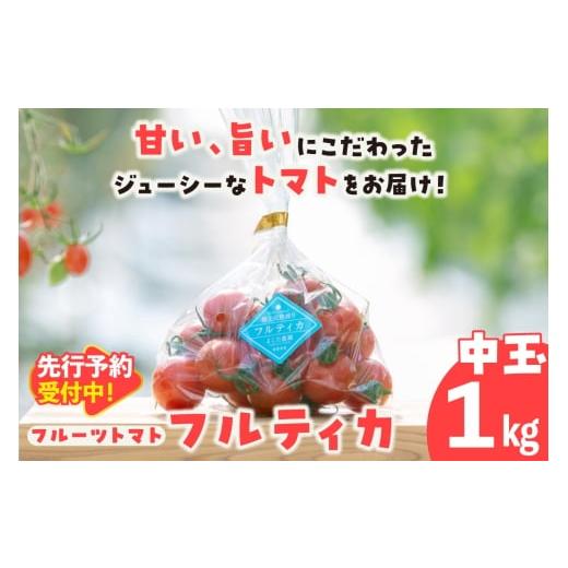 ふるさと納税 野菜類 トマト 愛知県 常滑市 先行予約 5月中旬以降発送 フルーツトマト 中玉フルティカ1kg│よこた農園 フルティカ 野菜 トマト 新鮮野菜 太…