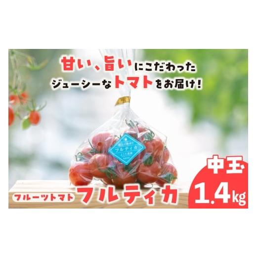 ふるさと納税 野菜類 トマト 愛知県 常滑市 フルーツトマト 中玉フルティカ1.4kg│よこた農園 フルティカ 野菜 トマト 新鮮野菜 太陽の恵み 中玉トマト トマ…