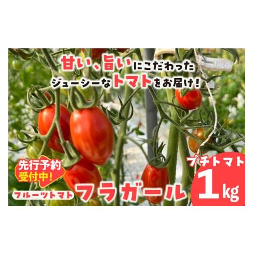 ふるさと納税 野菜類 トマト 愛知県 常滑市 先行予約 5月中旬以降発送 フルーツトマト フラガール1kg(へたなし)│よこた農園 フラガール プチトマト 野菜…