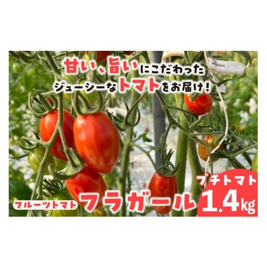 ふるさと納税 野菜類 トマト 愛知県 常滑市 5月中旬以降発送 フルーツトマト フラガール1.4kg(へたなし) 1.4kg (5月中旬以降発送) 寄附金額:6,000円