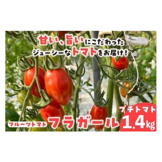 ふるさと納税 野菜類 トマト 愛知県 常滑市 フルーツトマト フラガール1.4kg(へたなし)│よこた農園 フラガール プチトマト 野菜 トマト 新鮮野菜 太陽の恵…