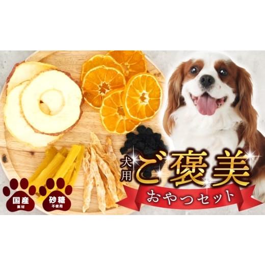 ふるさと納税 加工品等 大阪府 泉佐野市 犬用ご褒美おやつセット 無添加 ドッグ いぬ 犬 イヌ おやつ ペット 果物 ドライフルーツ ささみ 国産 安心 犬のおや…