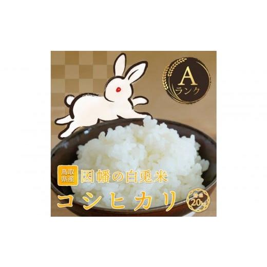 ふるさと納税 米 コシヒカリ 鳥取県 鳥取市 令和7年度産 因幡の白兎米 コシヒカリ 精米済 20kg ( 5kg×4袋 )