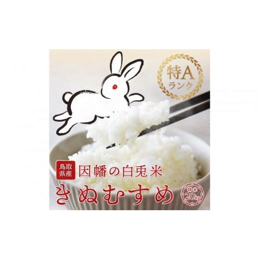ふるさと納税 米 きぬむすめ 鳥取県 鳥取市 令和7年度産 因幡の白兎米 きぬむすめ 精米済 20kg ( 5kg×4袋 )