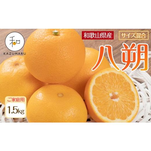 ふるさと納税 みかん・柑橘類 和歌山県 印南町 家庭用 森本農園の手選別 八朔 約1.5kg 和歌山県産 サイズ混合 [北海道・沖縄・離島配送不可][2027年1月中旬…