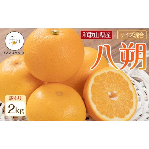 ふるさと納税 みかん・柑橘類 和歌山県 印南町 訳あり 森本農園の手選別 八朔 約2kg 和歌山県産 サイズ混合 [北海道・沖縄・離島配送不可][2027年1月中旬か…