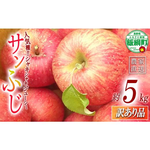 ふるさと納税 りんご 長野県 飯綱町 訳あり品 りんご サンふじ 5kg ( 11玉 ~ 20玉 ) 訳あり ふじ リンゴ 島田フルーツ農園 沖縄県への配送不可 令和8年収穫分…