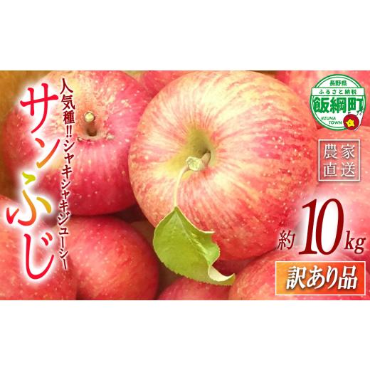 ふるさと納税 りんご 長野県 飯綱町 訳あり品 りんご サンふじ 10kg ( 22玉 ~ 40玉 ) 訳あり ふじ リンゴ 島田フルーツ農園 令和8年収穫分 2026年12月上旬か…