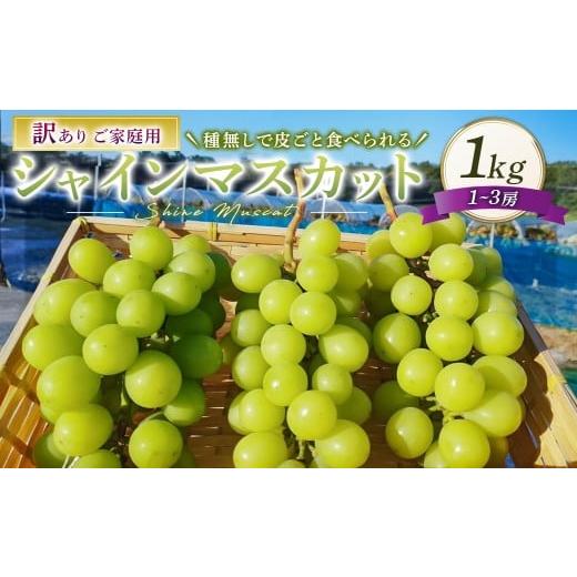 ふるさと納税 ぶどう マスカット 岡山県 美咲町 訳あり シャインマスカット 1〜3房 1kg ご家庭用 マスカット ブドウ ぶどう 葡萄 果物 くだもの フルーツ 家庭…