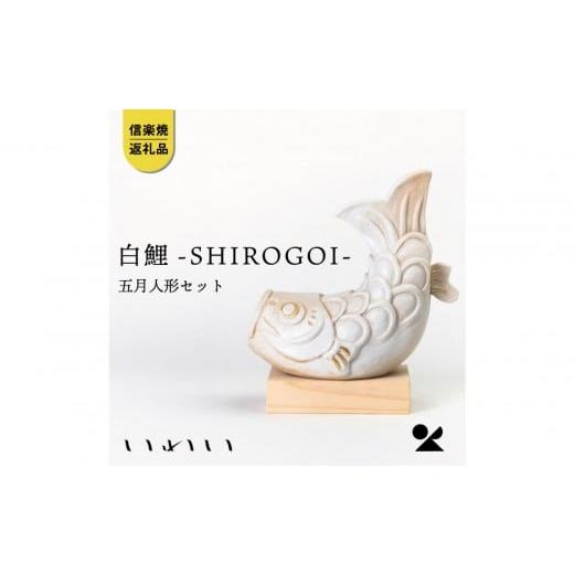 ふるさと納税 人形 滋賀県 甲賀市 信楽焼・明山 いわい 白鯉ーSHIROGOIー 五月人形セット iwai-k07