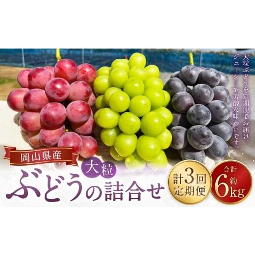 ふるさと納税 ぶどう マスカット 岡山県 美咲町 3回定期便 大粒ぶどうの詰合せ 約2kg×3回 計約6kg シャインマスカット マスカット ブドウ ぶどう 葡萄 果物 …