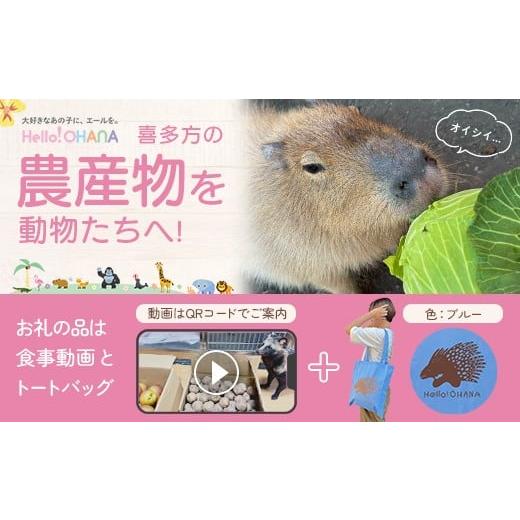 ふるさと納税 イベントやチケット等 福島県 喜多方市 動物推し活サービス 全国の動物たちに"喜多方の農産品"をプレゼント 〜動物デザインの「食事…