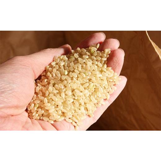 ふるさと納税 米 つや姫 山形県 大石田町 米 令和7年産 あきたこまち 玄米 15kg 5kg×3袋 8月上旬発送 山形県産 東北 ap-akgxa15-8f 8月上旬発送