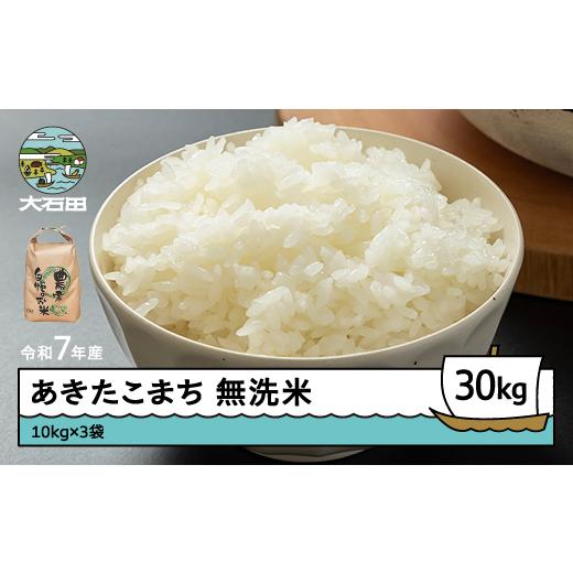 ふるさと納税 米 つや姫 山形県 大石田町 米 令和7年産 あきたこまち 無洗米 30kg 10kg×3袋 6月下旬発送 山形県産 東北 ap-akmxa10x3-6s 6月下旬発送_1