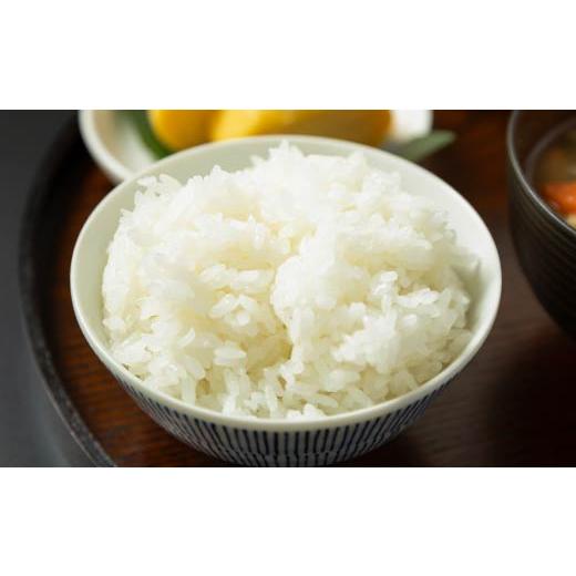 ふるさと納税 米 つや姫 山形県 大石田町 米 令和7年産 あきたこまち 無洗米 30kg 10kg×3袋 6月下旬発送 山形県産 東北 ap-akmxa10x3-6s 6月下旬発送_2