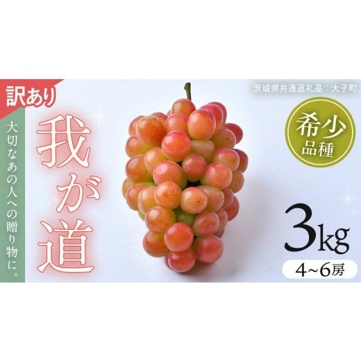 ふるさと納税 ぶどう マスカット 茨城県 牛久市 訳あり 我が道 3kg 2026年9月発送開始 (茨城県共通返礼品:大子町) シャインマスカット ウインク 葡萄 ブドウ…