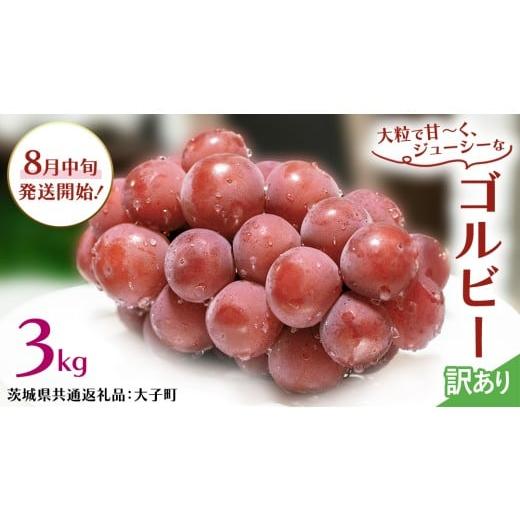 ふるさと納税 ぶどう マスカット 茨城県 牛久市 訳あり ゴルビー 3kg 2026年8月中旬発送開始 (茨城県共通返礼品:大子町) ぶどう 葡萄 ブドウ 果物 フルーツ …