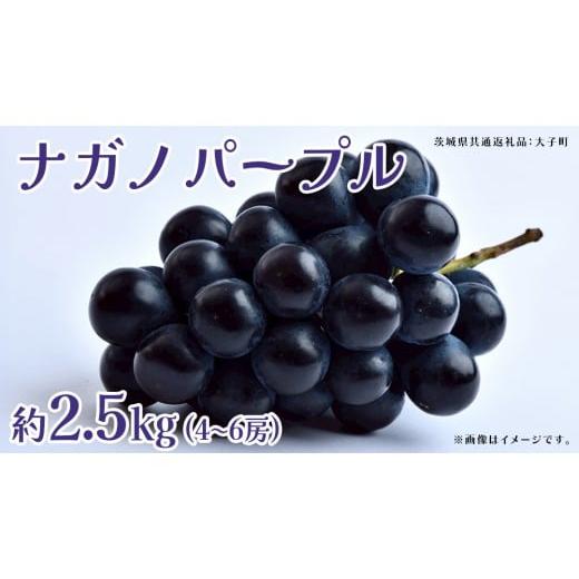 ふるさと納税 ぶどう マスカット 茨城県 牛久市 ナガノパープル 2.5kg (4〜6房) 2026年8月下旬発送開始 (茨城県共通返礼品:大子町) ぶどう 葡萄 ブドウ 果物 …