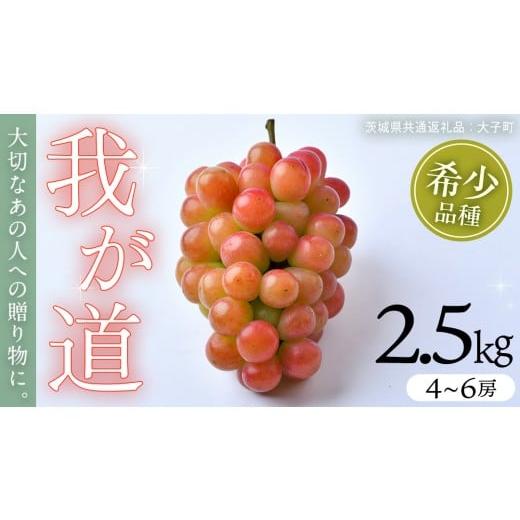 ふるさと納税 ぶどう マスカット 茨城県 牛久市 我が道 2.5kg (4〜6房) 2026年8月下旬発送開始 (茨城県共通返礼品:大子町) シャインマスカット ウインク 葡萄…