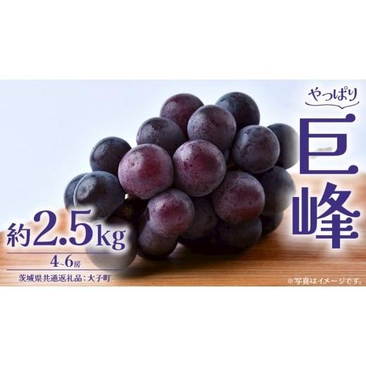 ふるさと納税 ぶどう マスカット 茨城県 牛久市 巨峰 2.5kg (4〜6房) 2026年8月下旬発送開始 (茨城県共通返礼品:大子町) ぶどう 葡萄 ブドウ フルーツ 果物 …