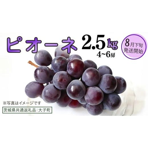 ふるさと納税 ぶどう マスカット 茨城県 牛久市 ピオーネ 2.5kg (4〜6房) 2026年8月下旬発送開始 (茨城県共通返礼品:大子町) ブドウ ぶどう 葡萄 ピオーネ 果…
