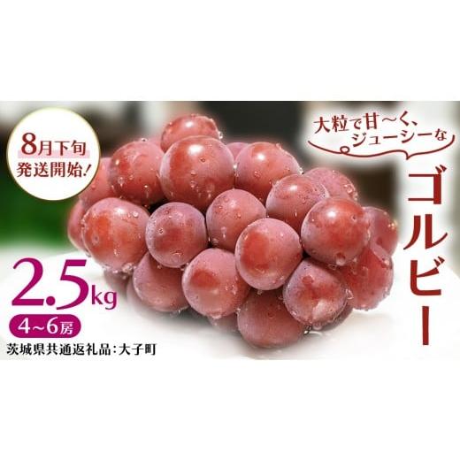 ふるさと納税 ぶどう マスカット 茨城県 牛久市 ゴルビー 2.5kg (4〜6房) 2026年8月下旬発送開始 (茨城県共通返礼品:大子町) ぶどう 葡萄 ブドウ 果物 フルー…