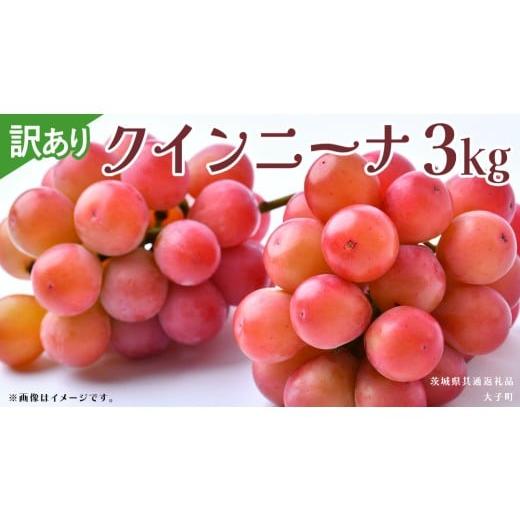 ふるさと納税 ぶどう マスカット 茨城県 牛久市 訳あり クインニーナ 3kg 2026年9月発送開始 (茨城県共通返礼品:大子町) ぶどう 葡萄 ブドウ 果物 フルーツ …