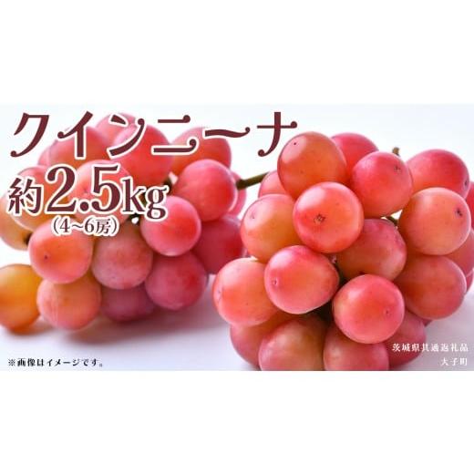 ふるさと納税 ぶどう マスカット 茨城県 牛久市 クインニーナ 約2.5kg (4〜6房) 2026年8月下旬発送開始 (茨城県共通返礼品:大子町) ぶどう 葡萄 ブドウ 果物 …