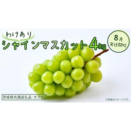 ふるさと納税 ぶどう マスカット 茨城県 牛久市 訳あり シャインマスカット 4kg 2026年8月発送開始 (茨城県共通返礼品:大子町) ぶどう 葡萄 マスカット フル…