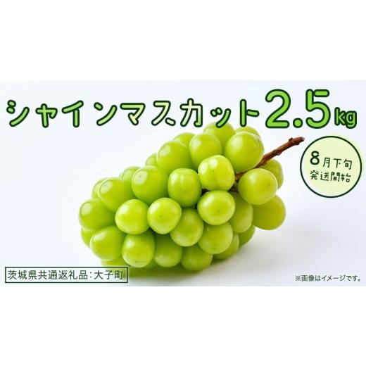ふるさと納税 ぶどう マスカット 茨城県 牛久市 シャインマスカット 2.5kg 2026年8月下旬発送開始 (茨城県共通返礼品:大子町) ぶどう 葡萄 ブドウ マスカット…