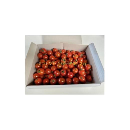 ふるさと納税 トマト ミニトマト 長野県 茅野市 高原育ちのフルーツミニトマト サマー千果 約2kg 1645910
