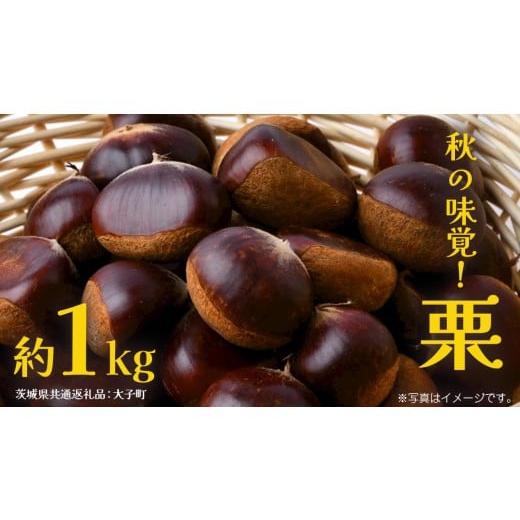 ふるさと納税 果物類 栗 茨城県 牛久市 栗 1kg 2026年9月上旬発送開始 (茨城県共通返礼品:大子町) くり マロン 果物 スイーツ モンブラン 栗きんとん 生栗 焼…