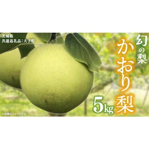 ふるさと納税 梨 茨城県 牛久市 かおり 梨 5kg 2026年8月中旬発送開始 (茨城県共通返礼品:大子町) 梨 なし 果物 くだもの フルーツ かおり 芳醇 希少品 青梨