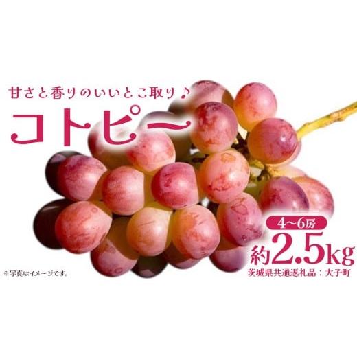 ふるさと納税 ぶどう マスカット 茨城県 牛久市 コトピー 2.5kg 2026年8月下旬発送開始 (茨城県共通返礼品:大子町) コトピー ぶどう ブドウ 葡萄 皮ごと 赤い…
