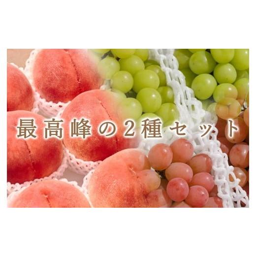 ふるさと納税 もも 山梨県 甲州市 定期便 甲州市自慢のたっぷり2種セット"桃5kg"と"シャイン&サンシャインレッド4房入"自然農法 2026年…