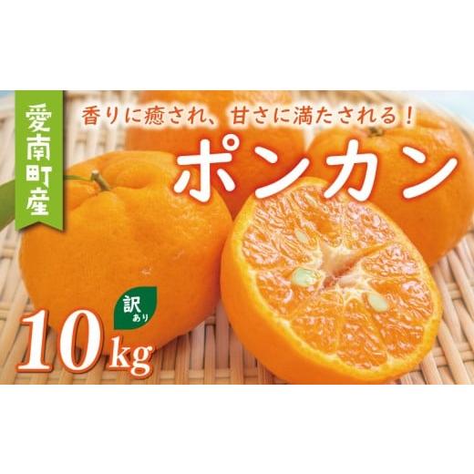 ふるさと納税 みかん・柑橘類 愛媛県 愛南町 数量限定 訳あり ポンカン 10kg 8000円 わけあり ぽんかん 国産 みかん mikan 蜜柑 ミカン 産地直送 農家直送 特…