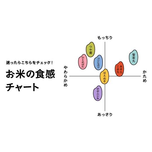 ふるさと納税 米 つや姫 山形県 大石田町 米 令和7年産 雪若丸 玄米 15kg 5kg×3袋 6月下旬発送 山形県産 東北 ap-yugxa15-6s 6月下旬発送