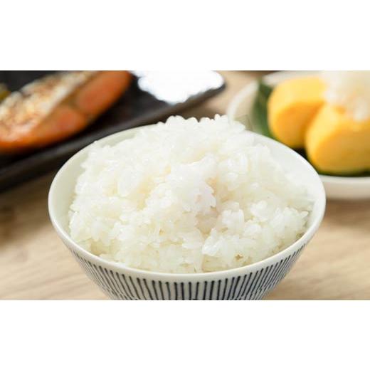 ふるさと納税 米 つや姫 山形県 大石田町 米 令和7年産 雪若丸 無洗米 30kg 10kg×3回 毎月定期便 5月上旬・6月上旬・7月上旬発送 山形県産 東北 ap-yumxa10x3…の画像