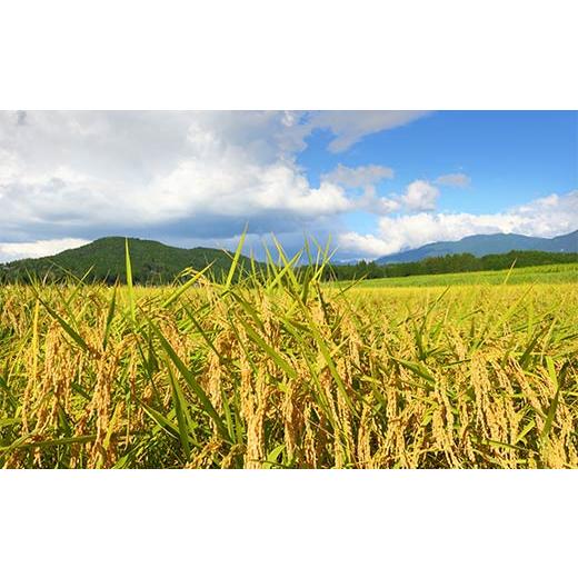 ふるさと納税 米 つや姫 山形県 大石田町 米 令和7年産 雪若丸 無洗米 30kg 10kg×3回 毎月定期便 5月上旬・6月上旬・7月上旬発送 山形県産 東北 ap-yumxa10x3…の画像