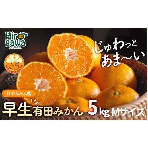 ふるさと納税 果物類 みかん 和歌山県 広川町 早生 有田みかん5kg (Mサイズ) 2026年11月〜2027年1月中旬に順次発送予定 tkn004-gif-m-5