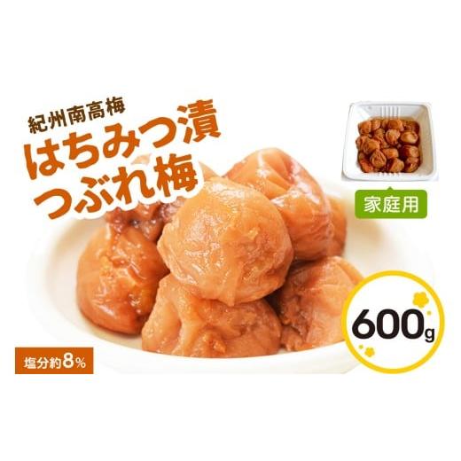 ふるさと納税 加工品等 梅干 和歌山県 御坊市 紀州南高梅 はちみつ漬つぶれ梅600g